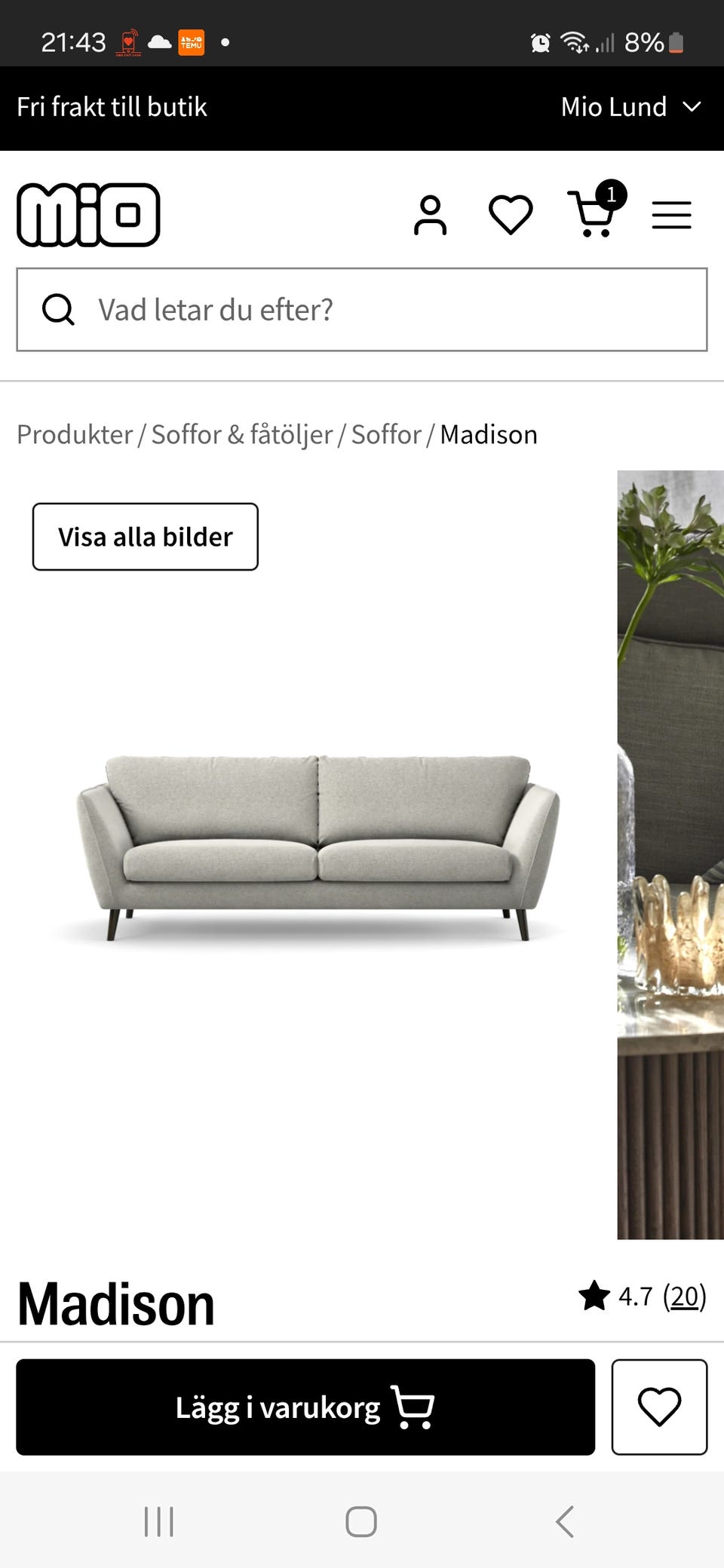 Galleribild