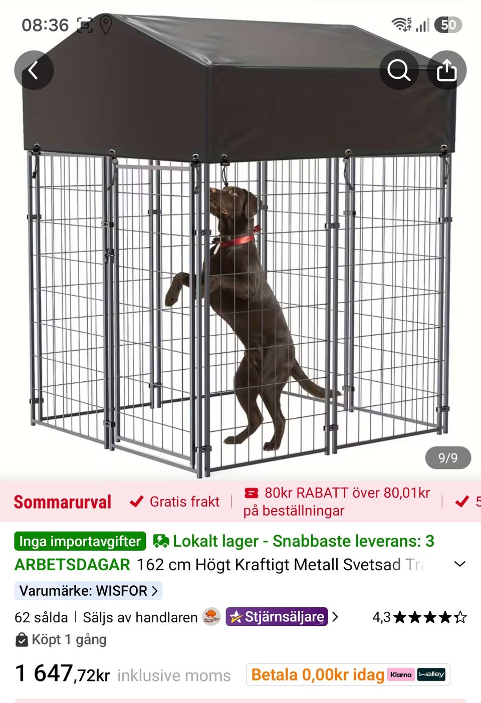 Galleribild