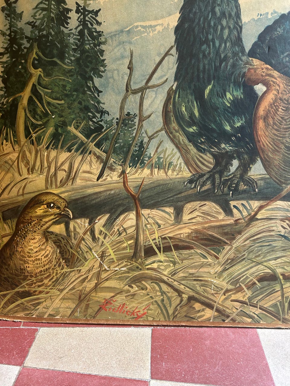 Galleribild