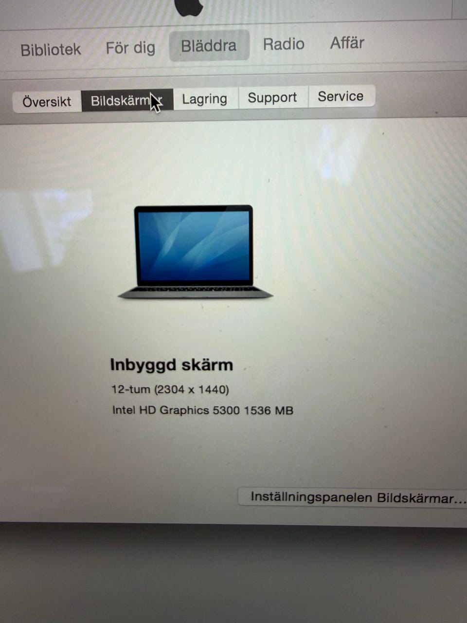 Galleribild