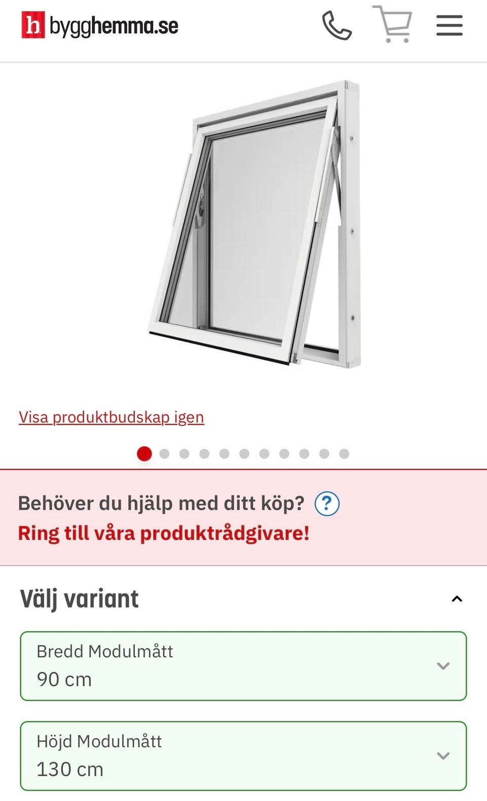Galleribild
