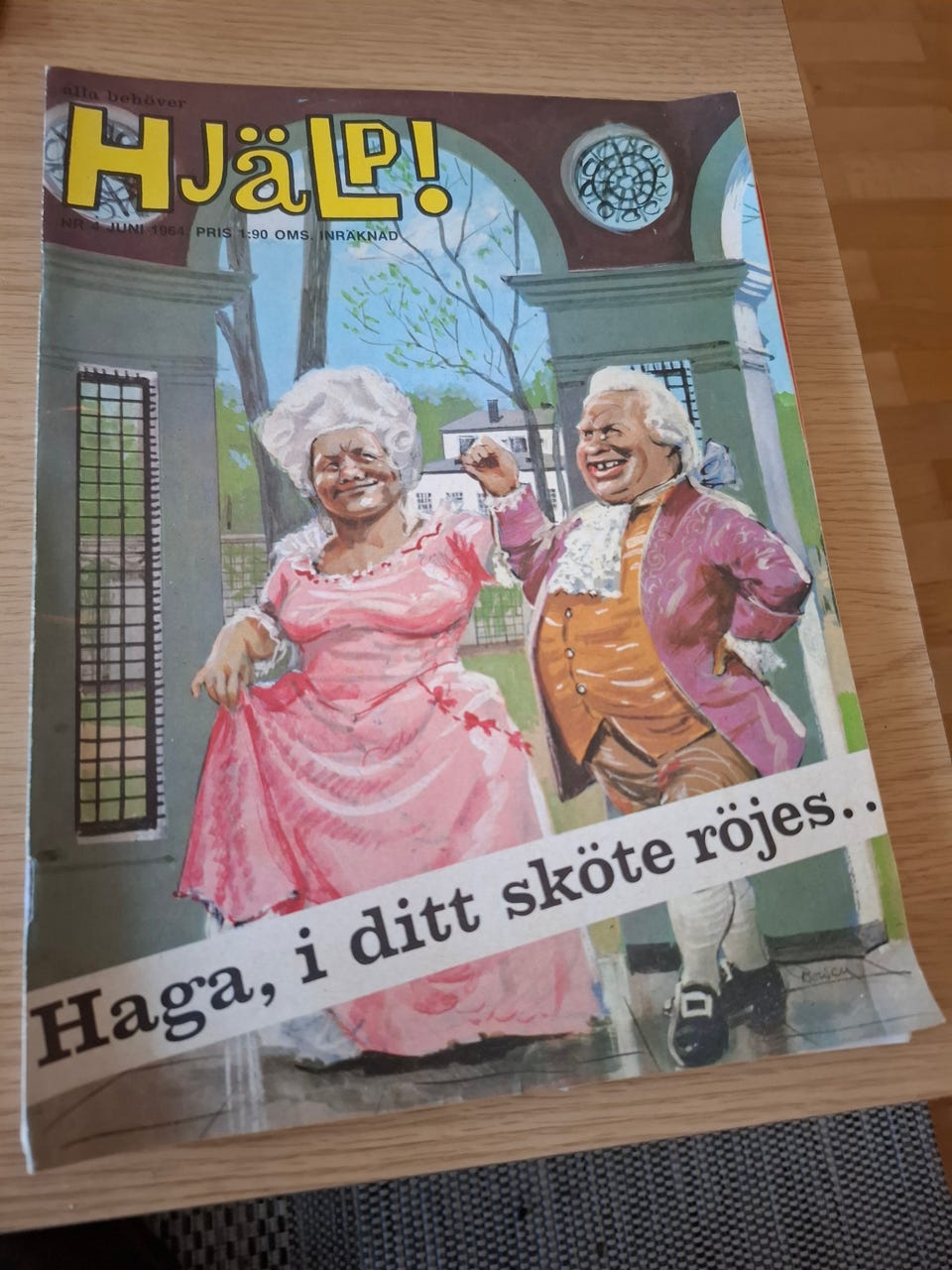 Galleribild