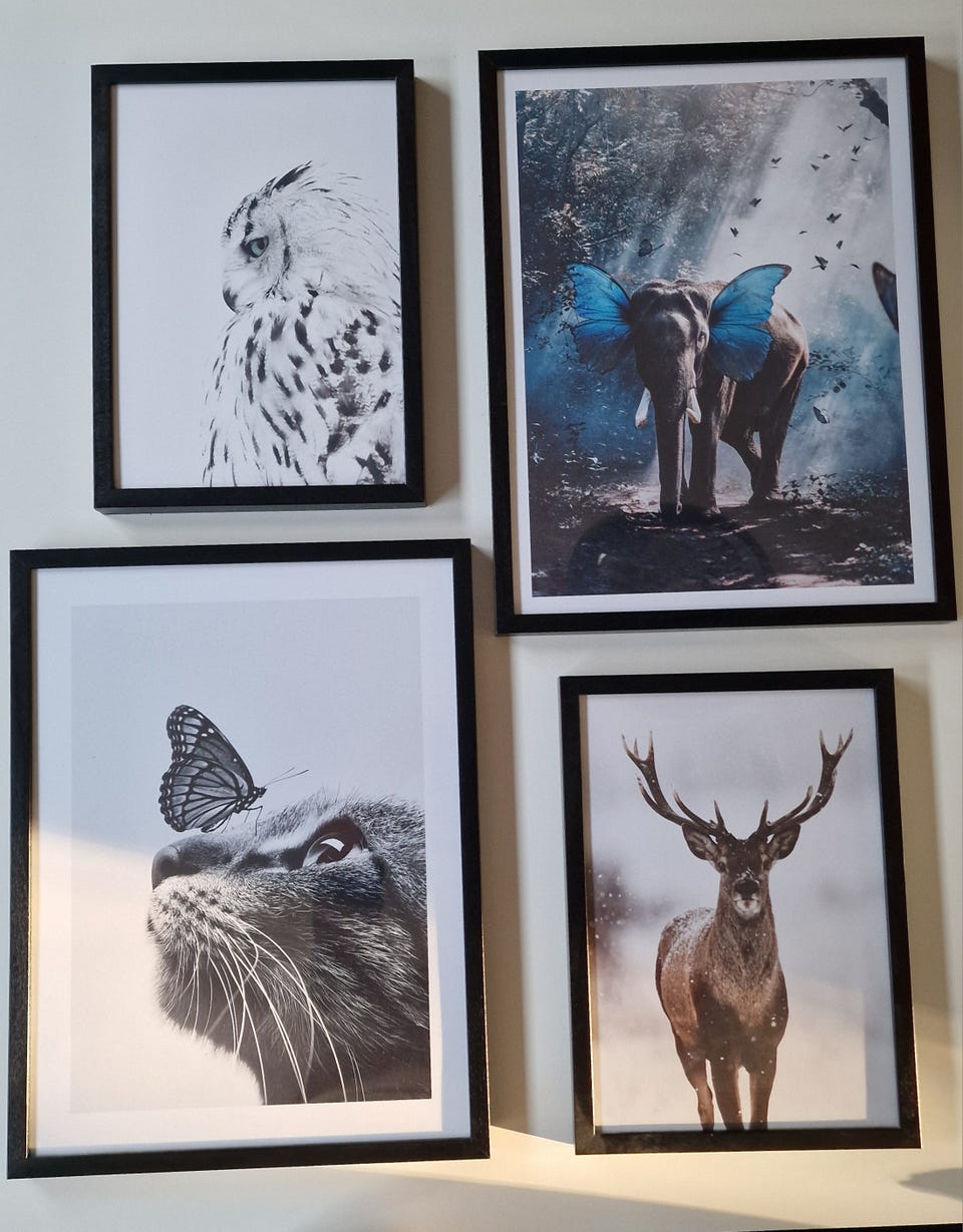 Galleribild