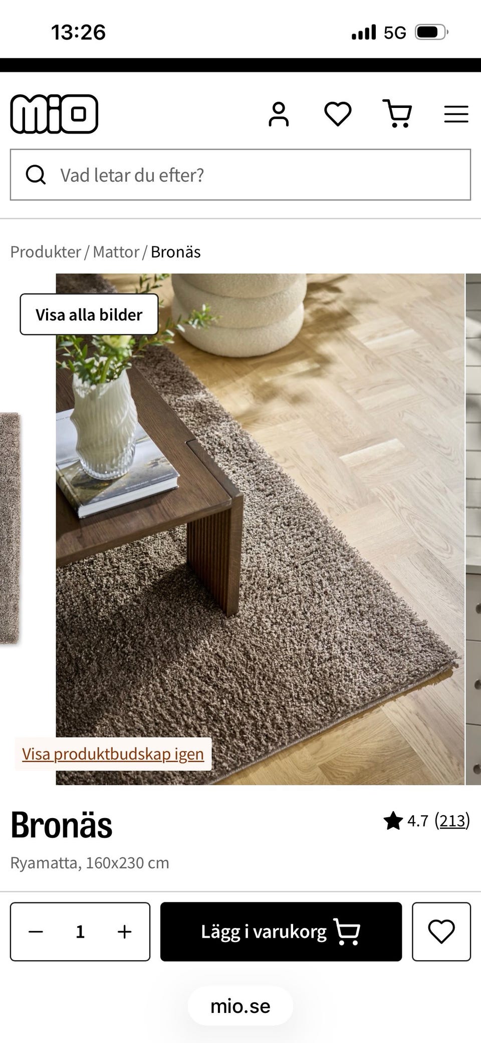 Galleribild