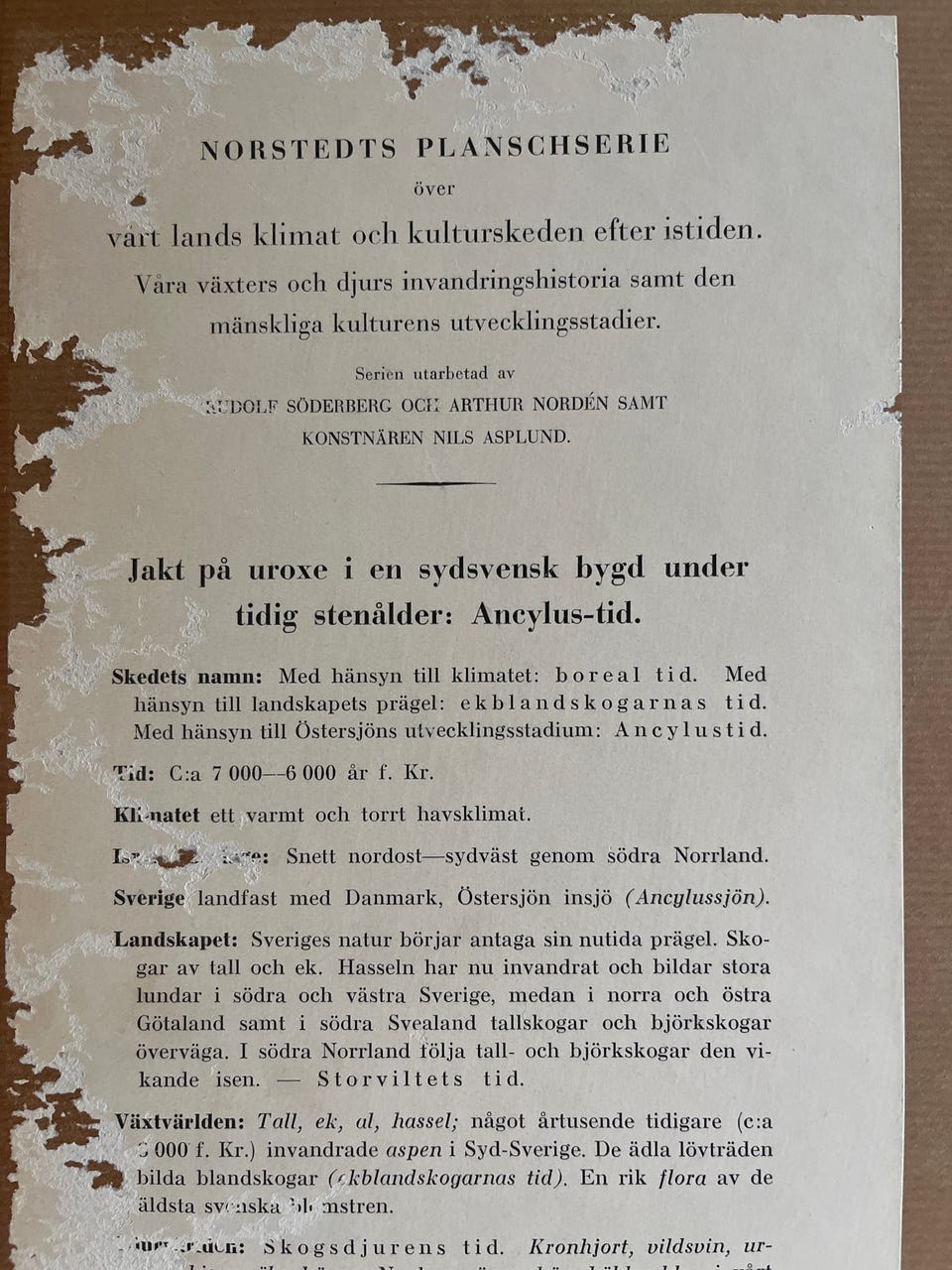 Galleribild