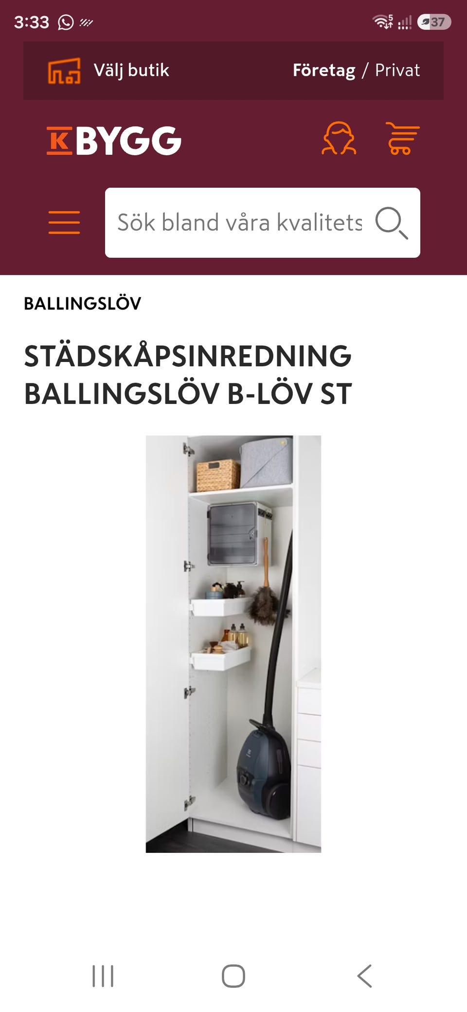 Galleribild