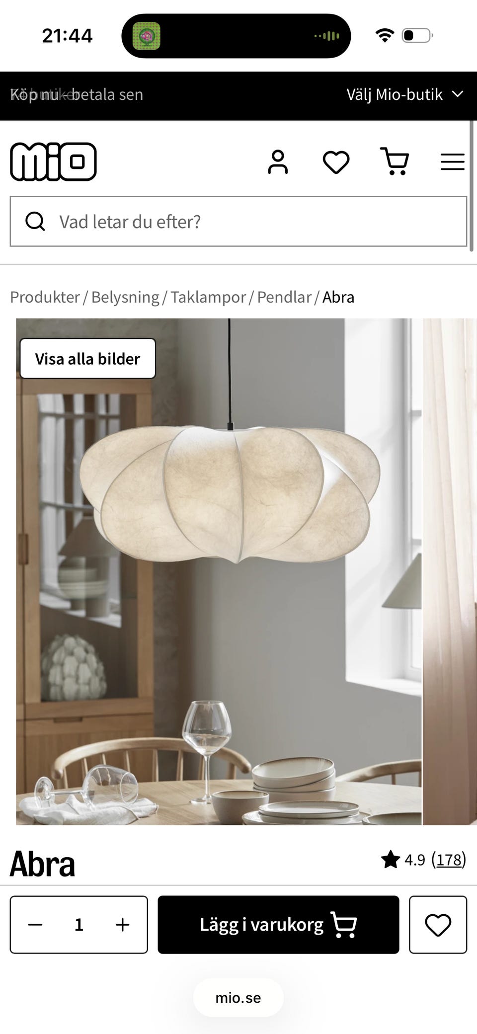 Galleribild