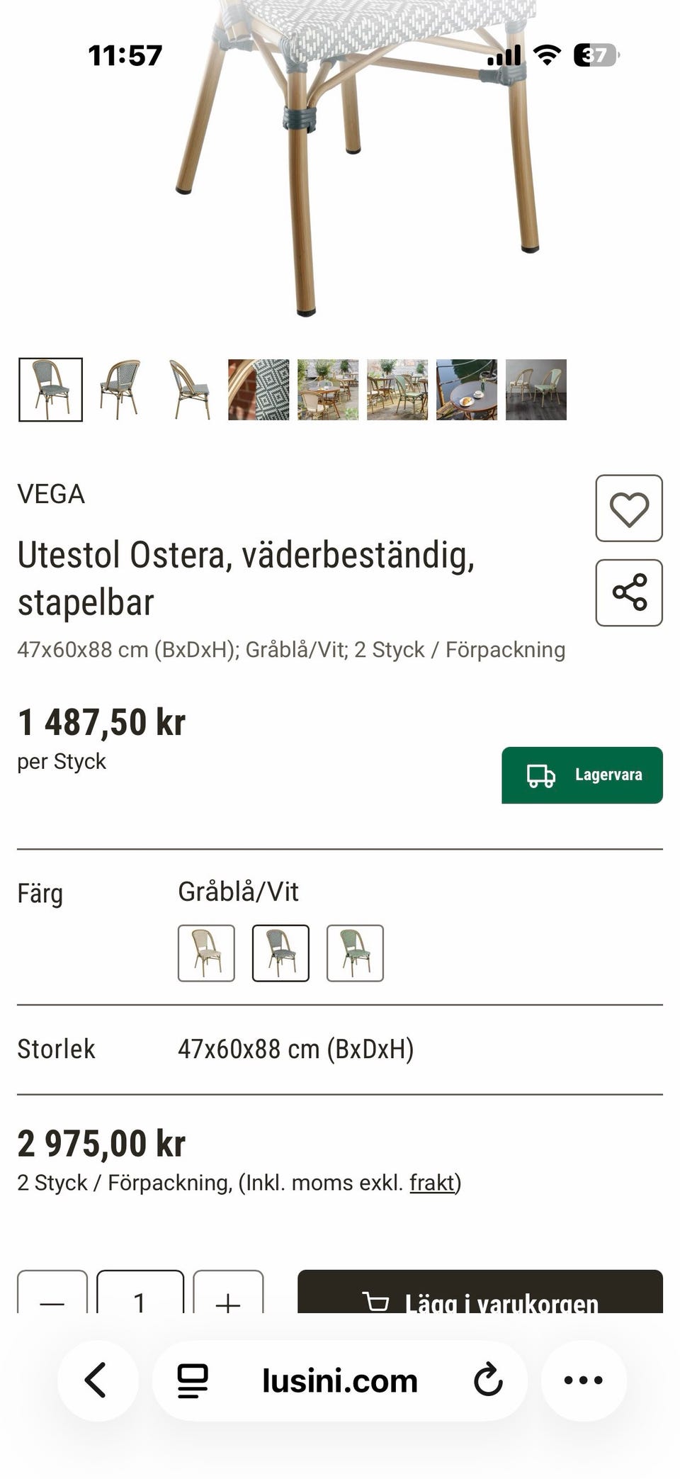 Galleribild