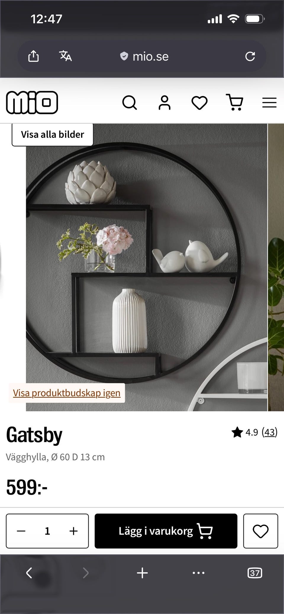 Galleribild