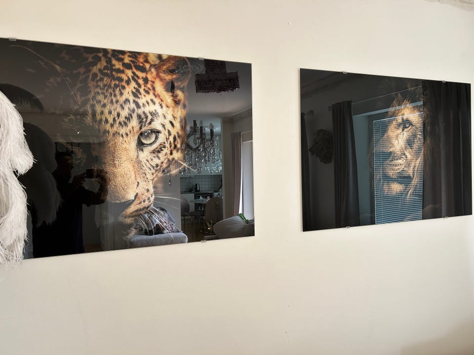Galleribild