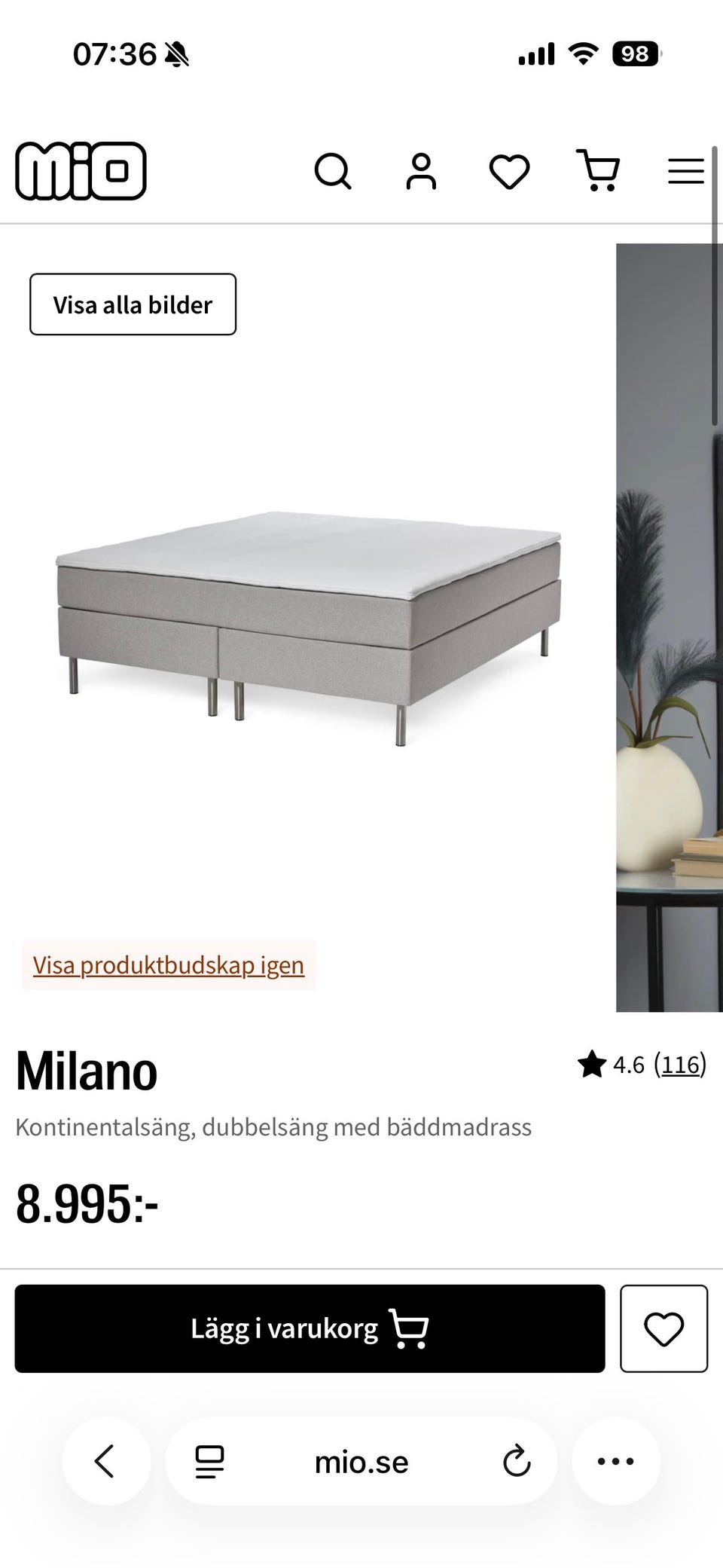 Galleribild