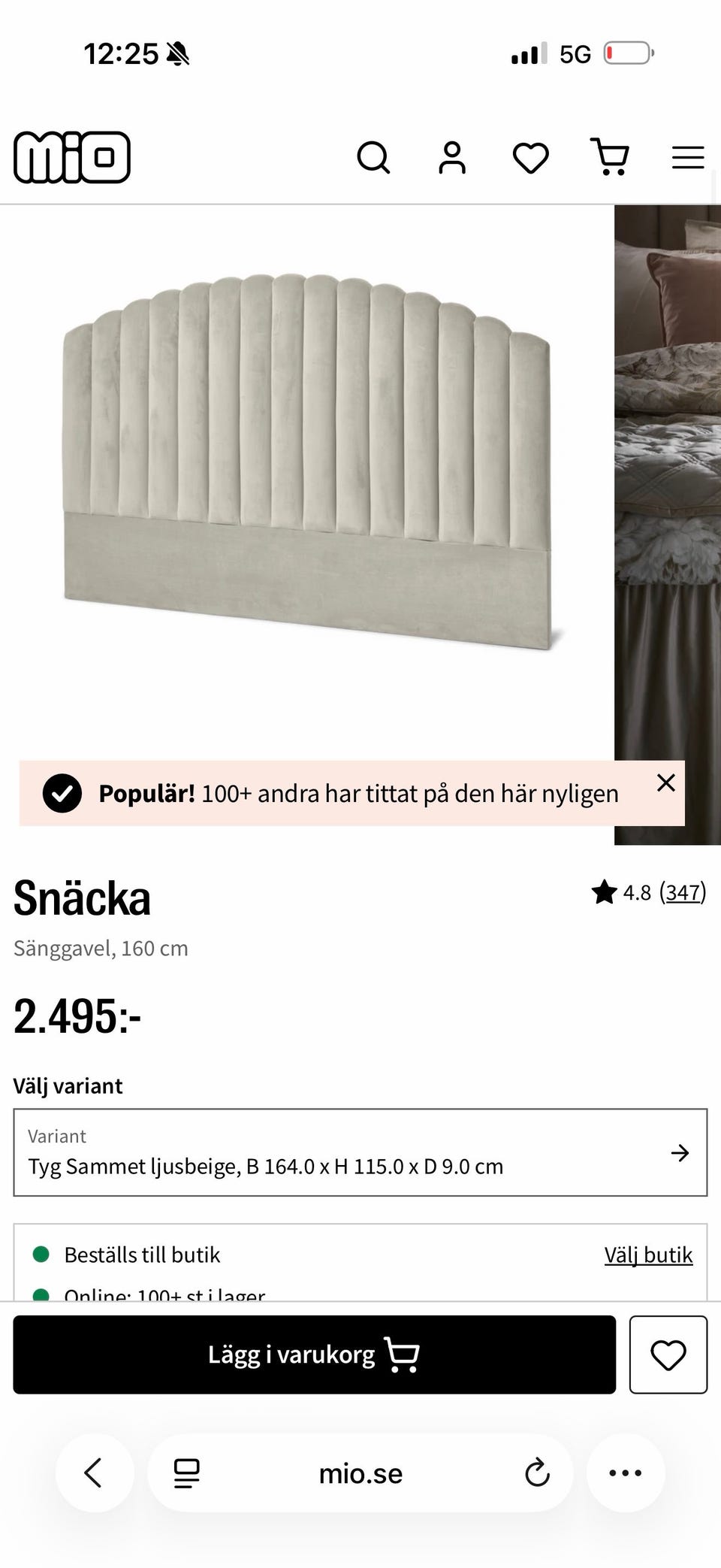Galleribild