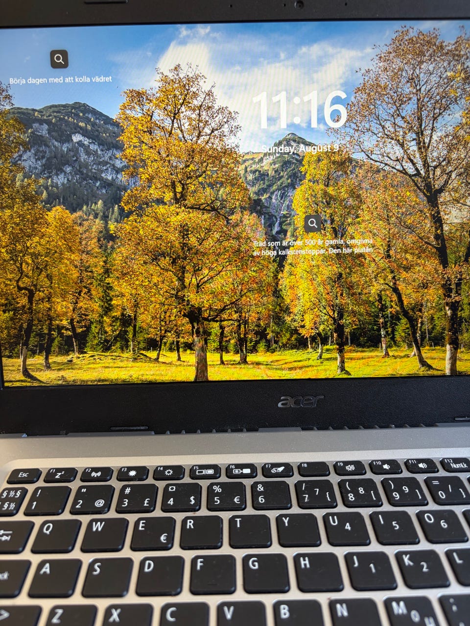 Galleribild