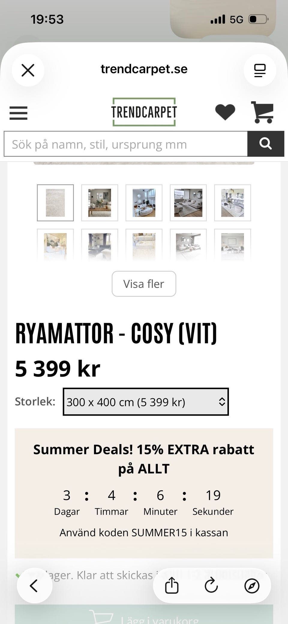Galleribild