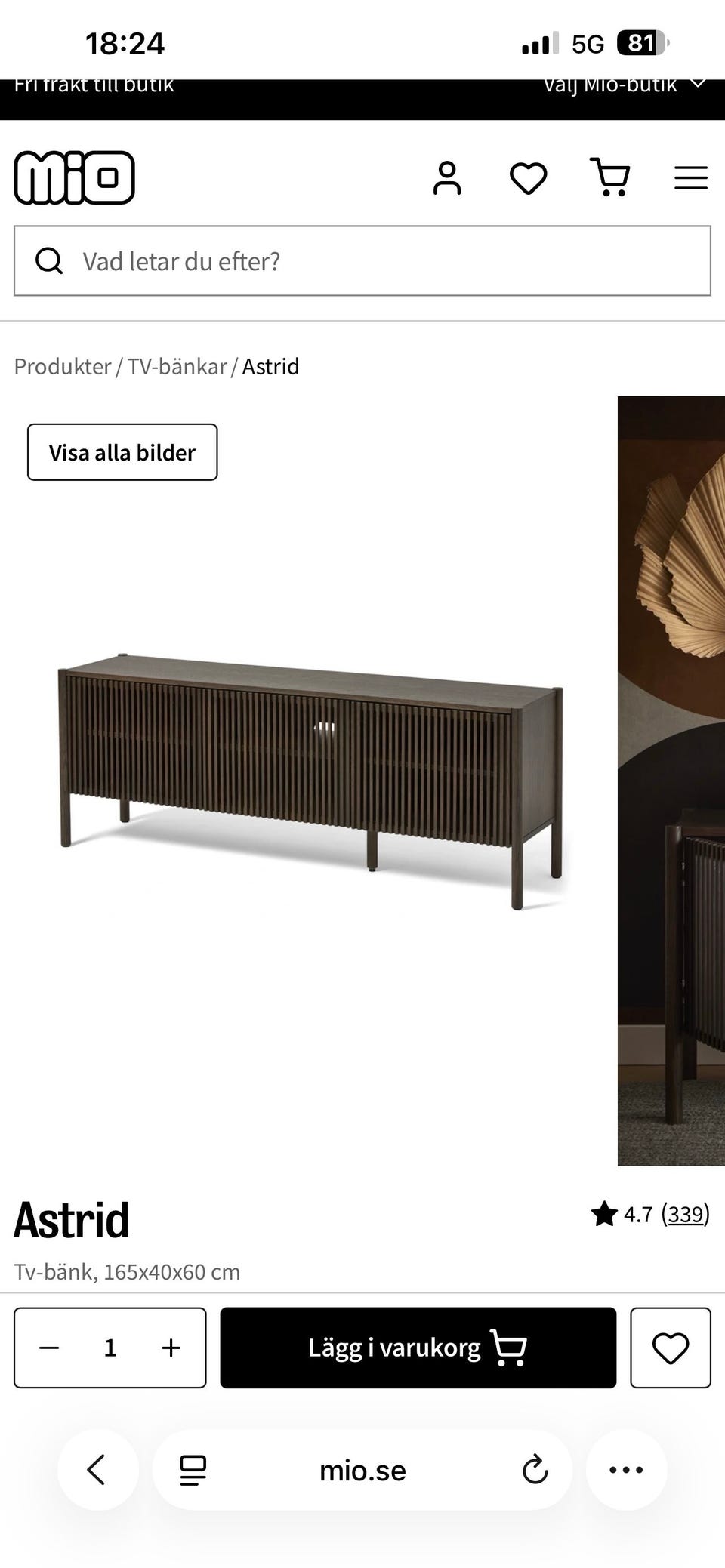 Galleribild