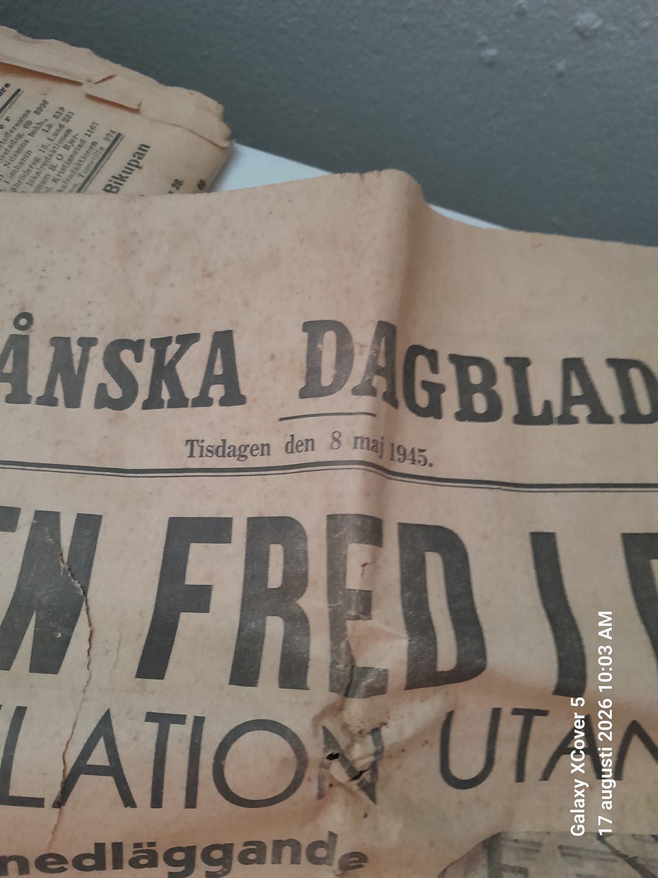 Galleribild