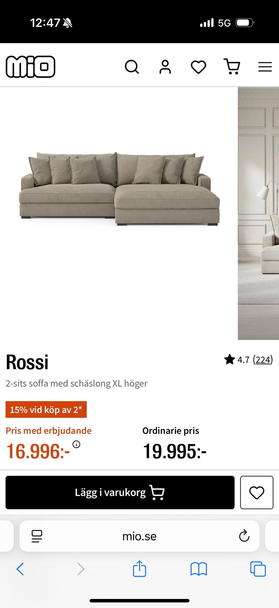 Galleribild