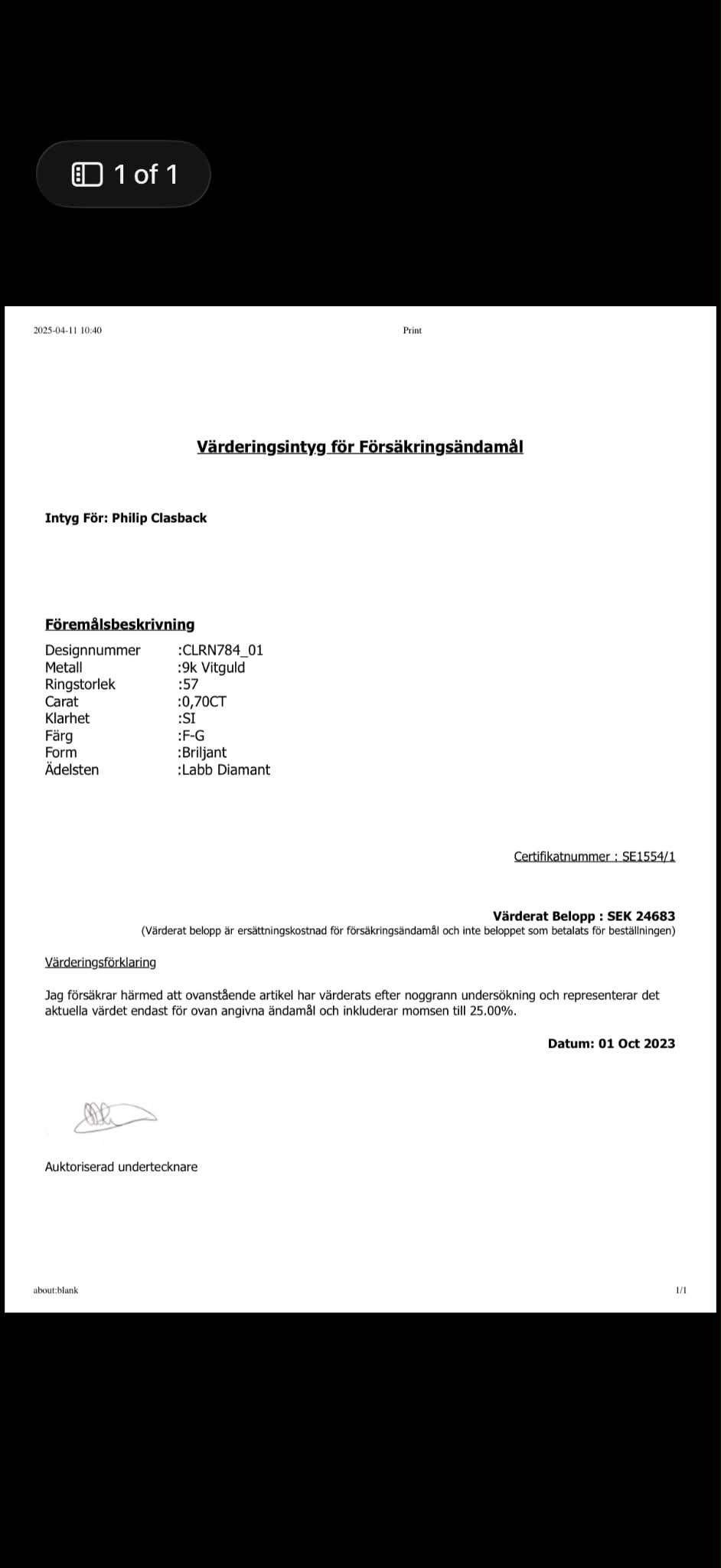 Galleribild