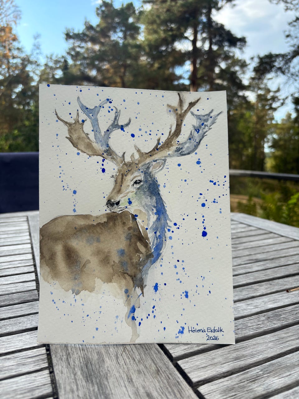 Galleribild