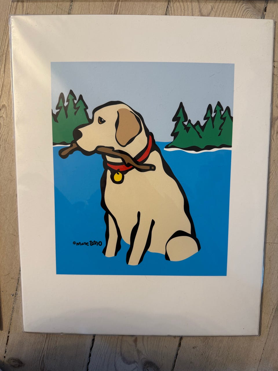Galleribild