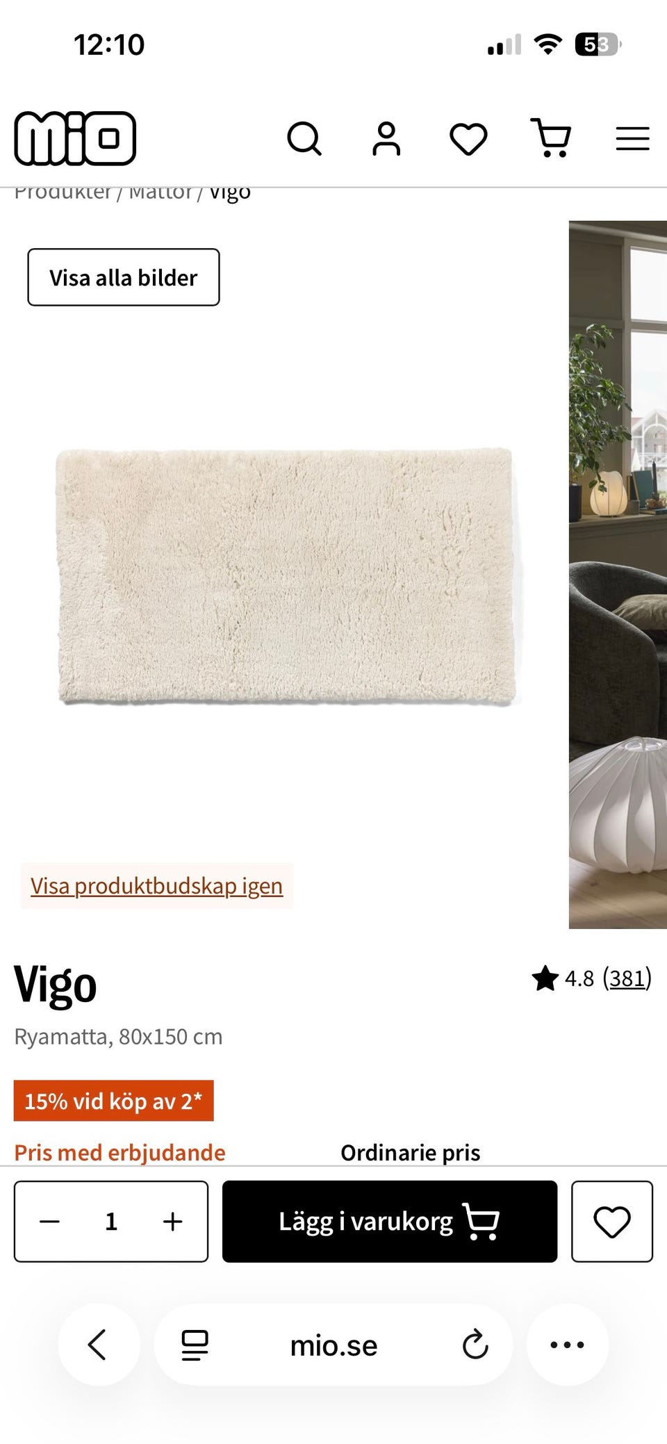 Galleribild
