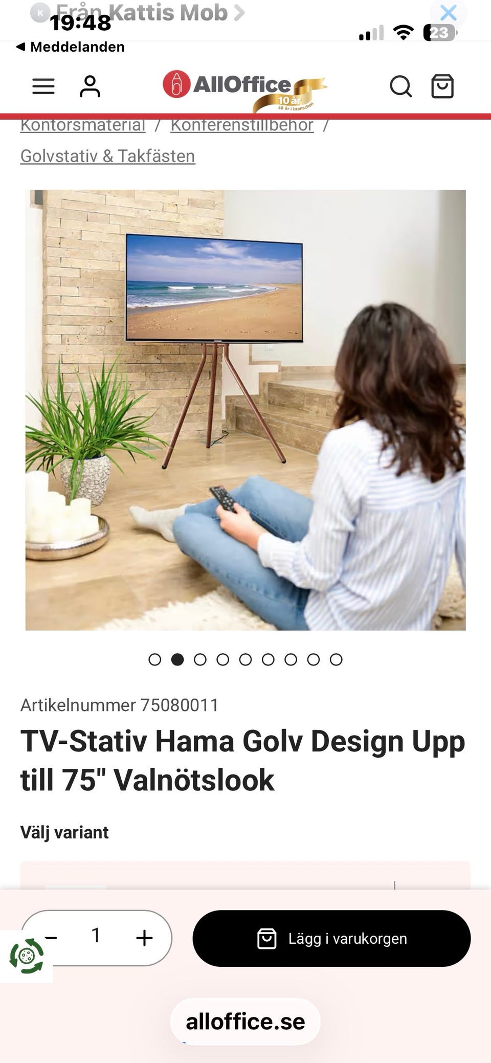 Galleribild