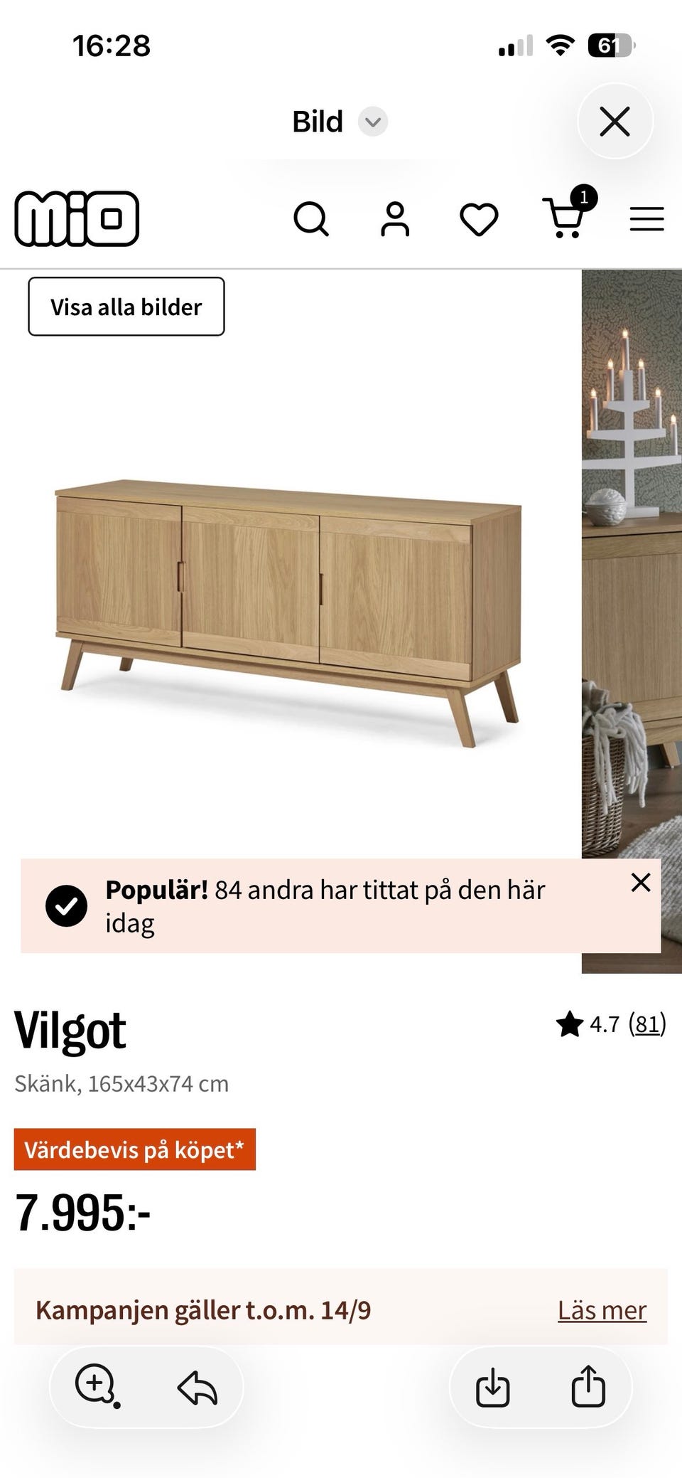 Galleribild
