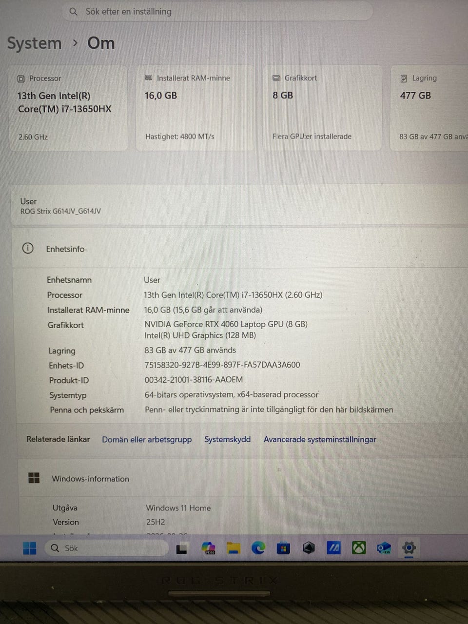 Galleribild