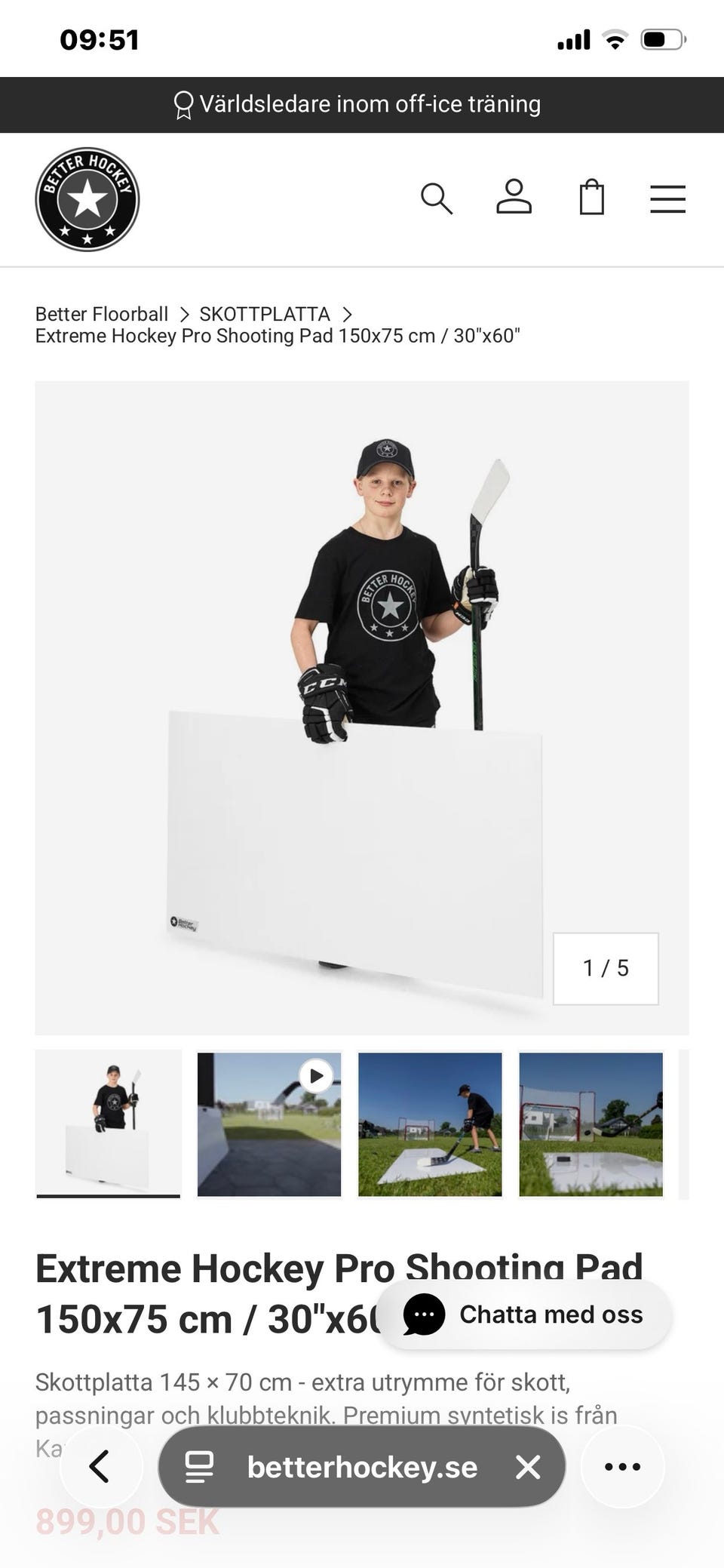 Galleribild