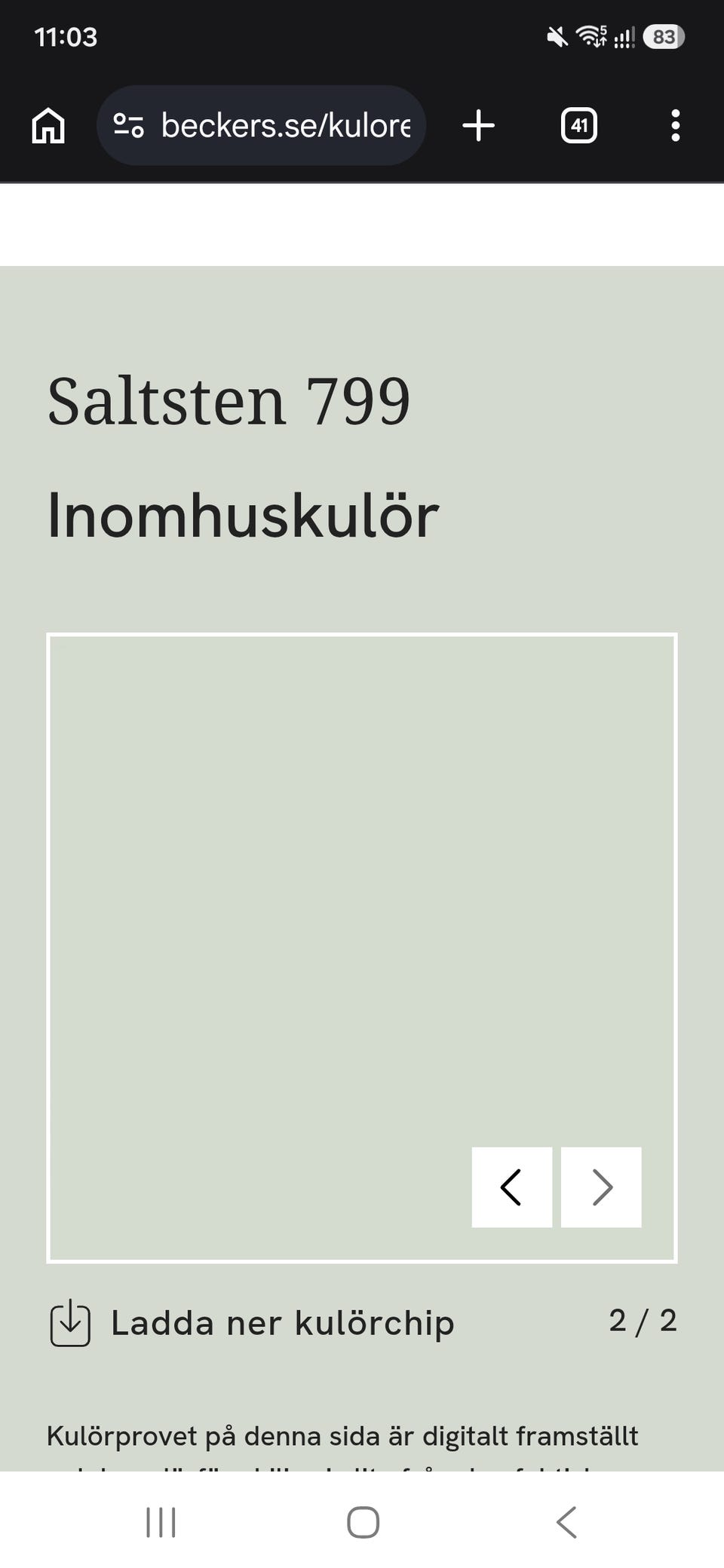 Galleribild