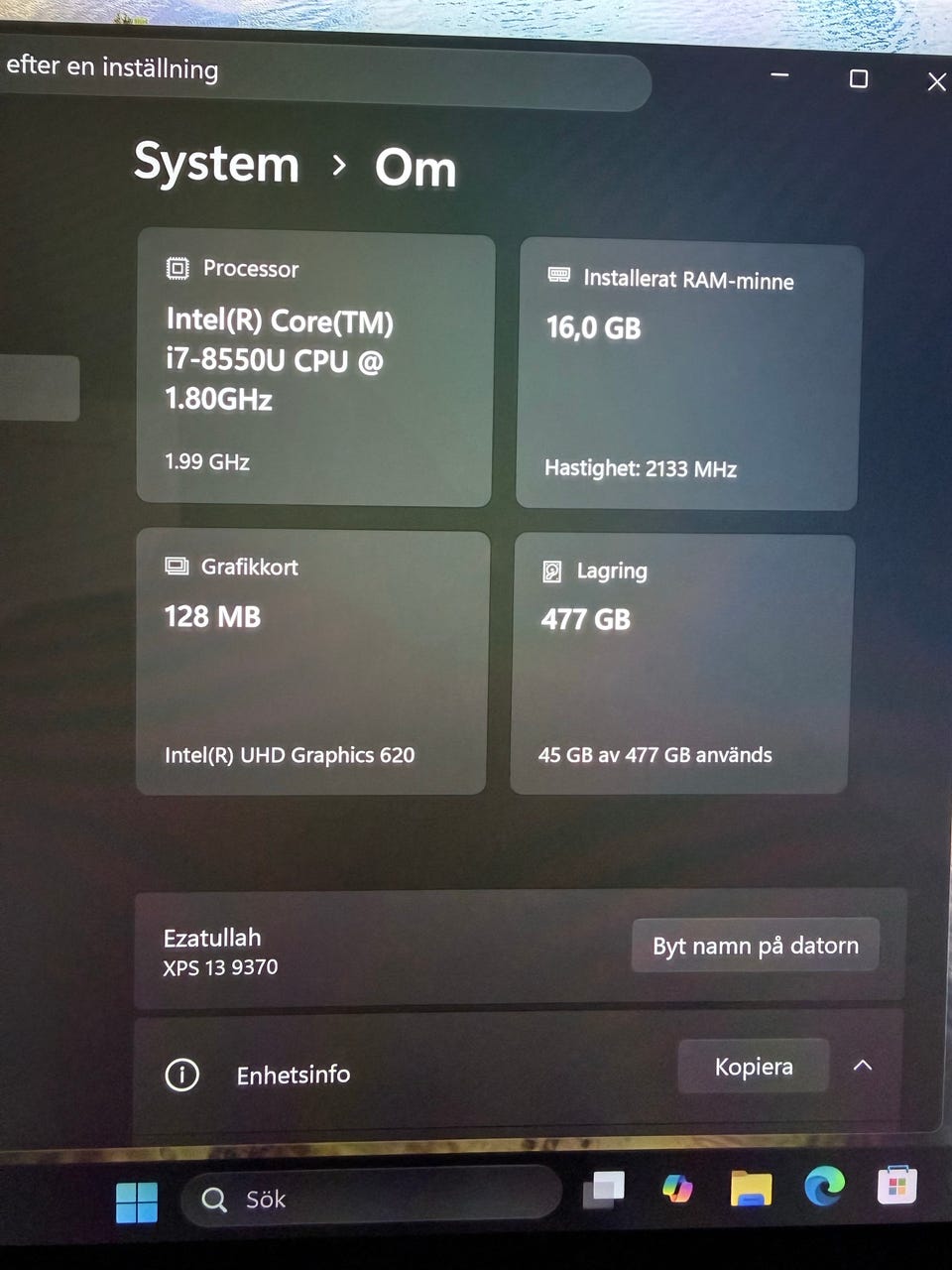 Galleribild