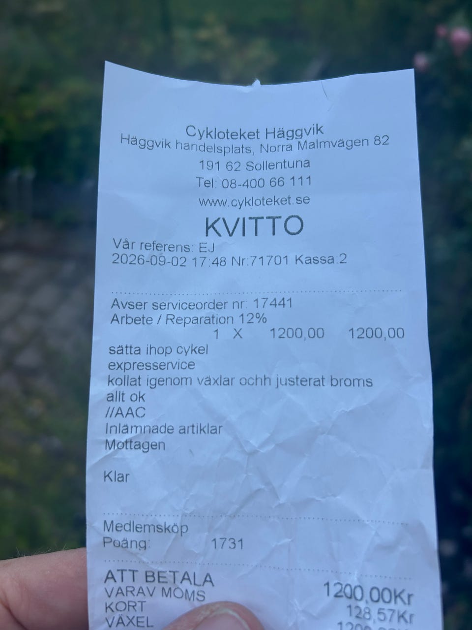 Galleribild