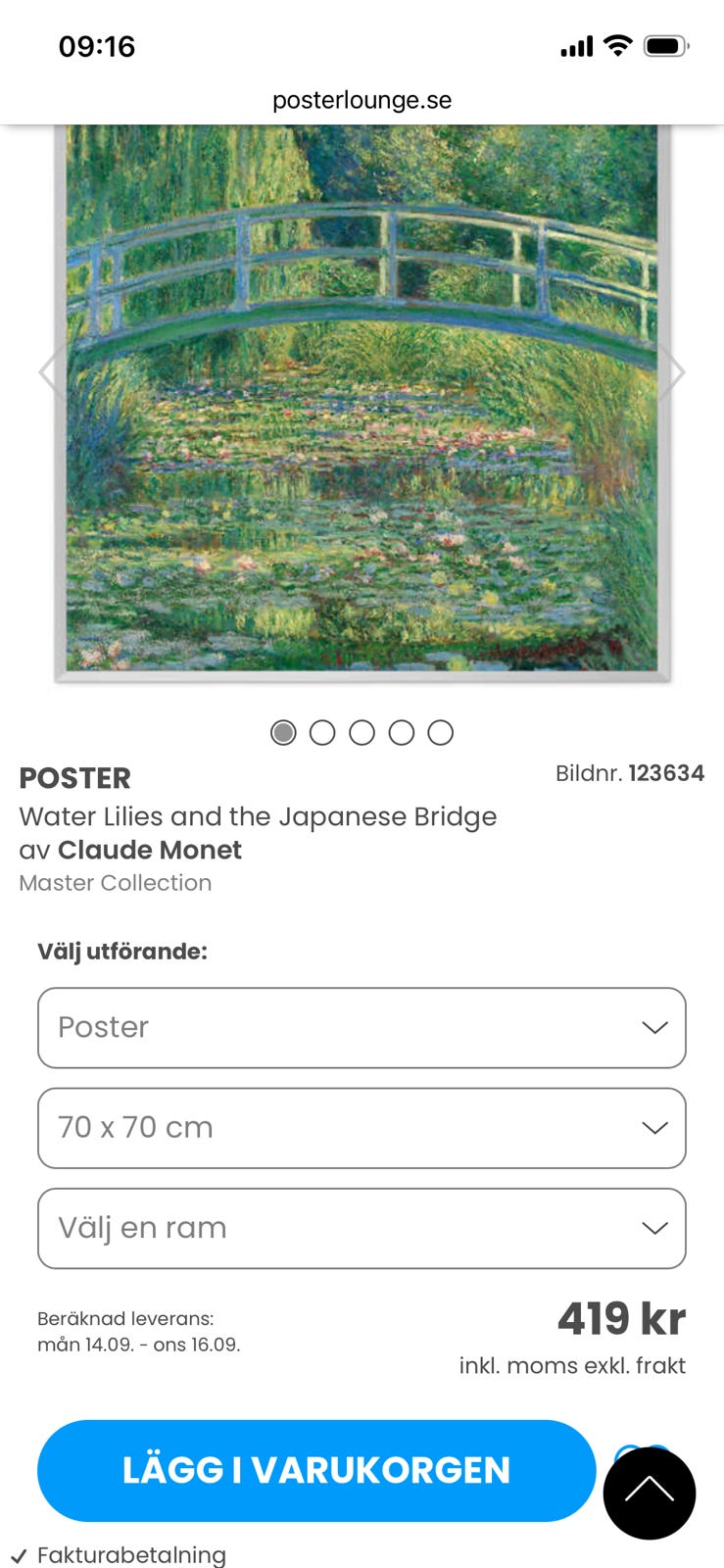 Galleribild