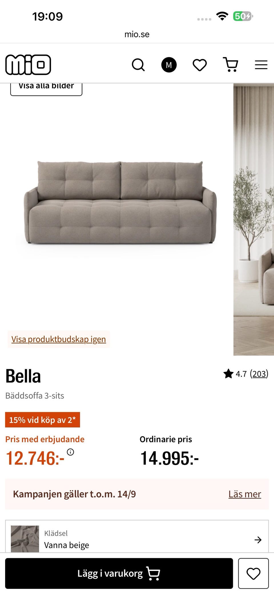 Galleribild