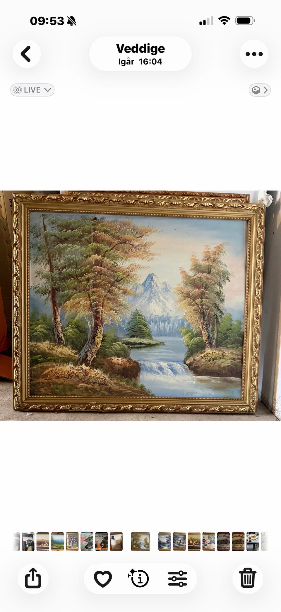 Galleribild