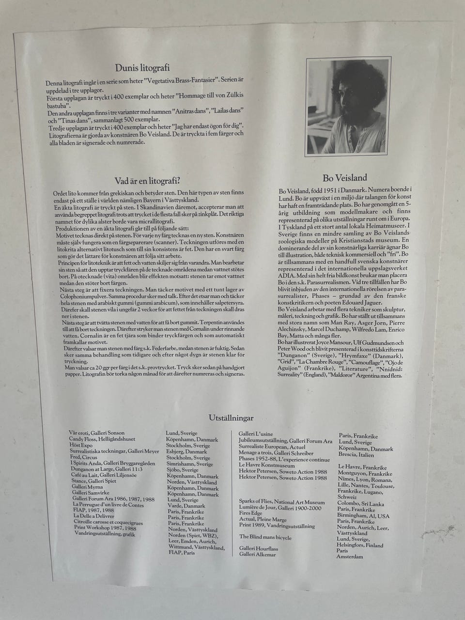 Galleribild