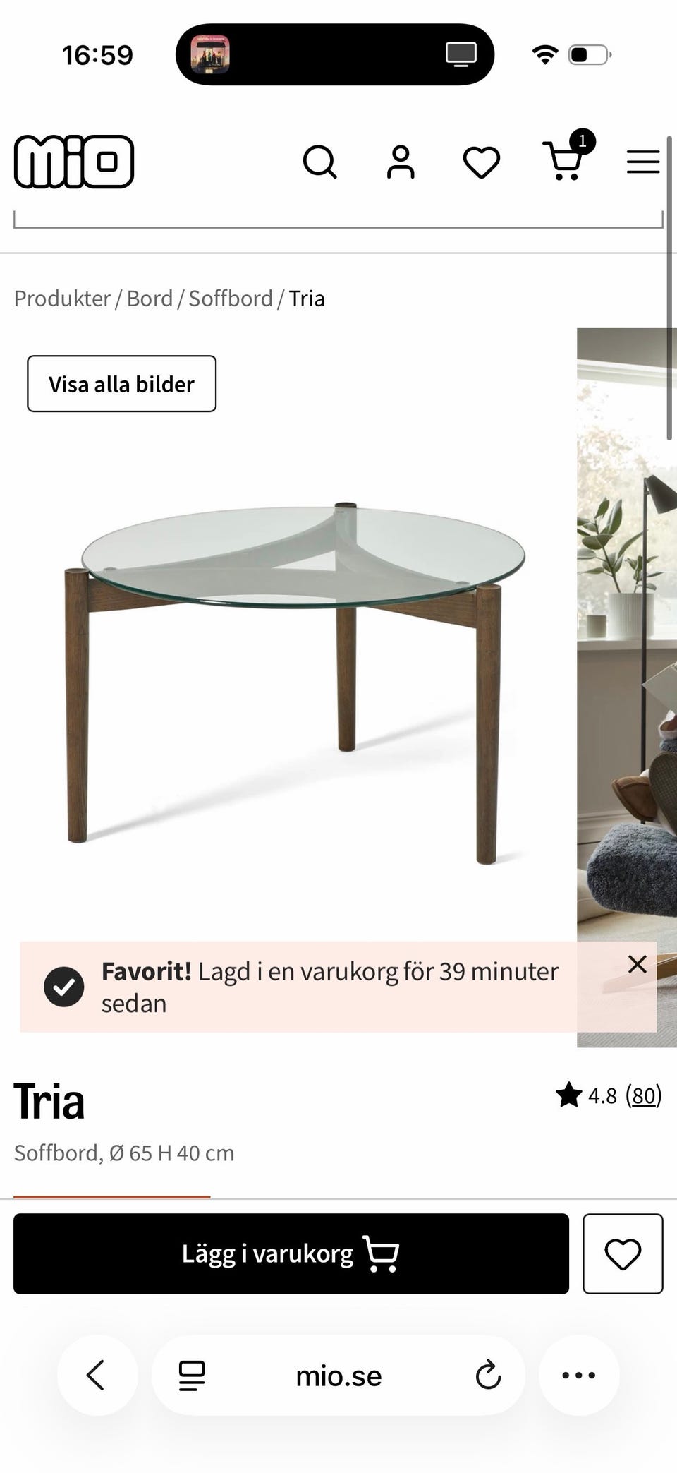 Galleribild