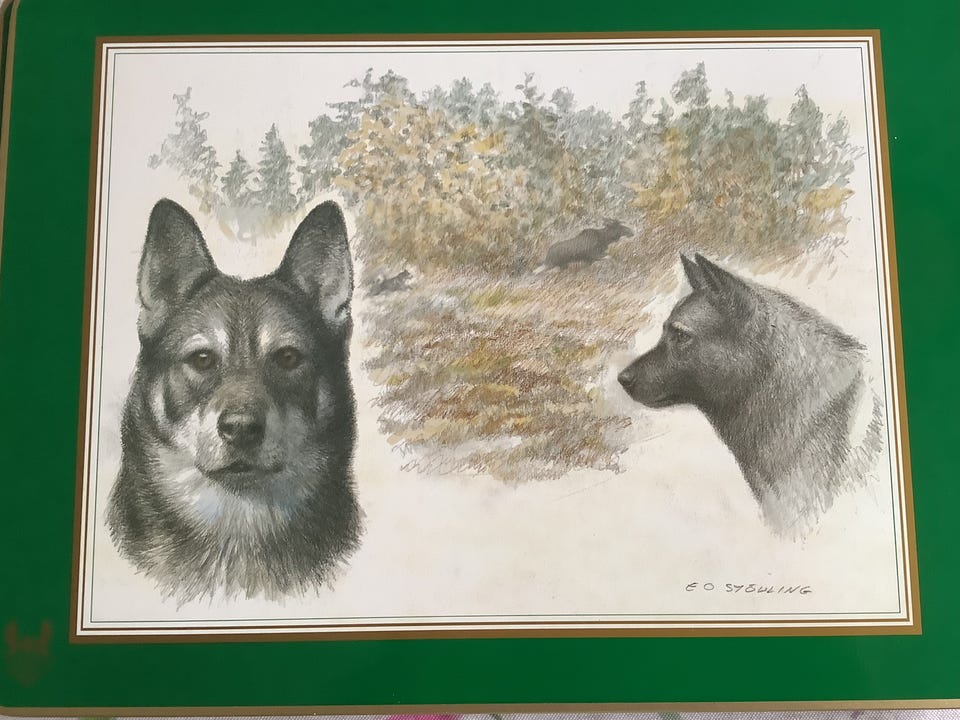 Galleribild