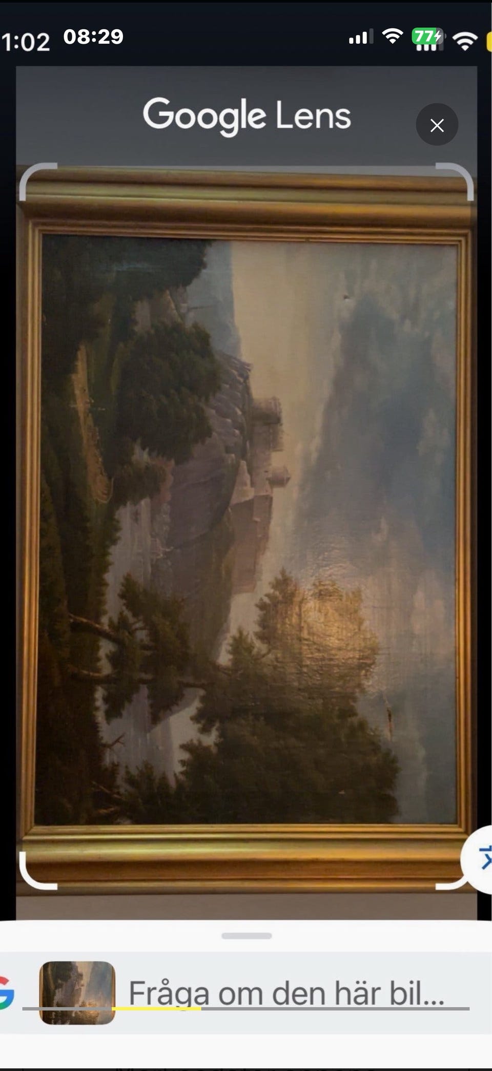 Galleribild