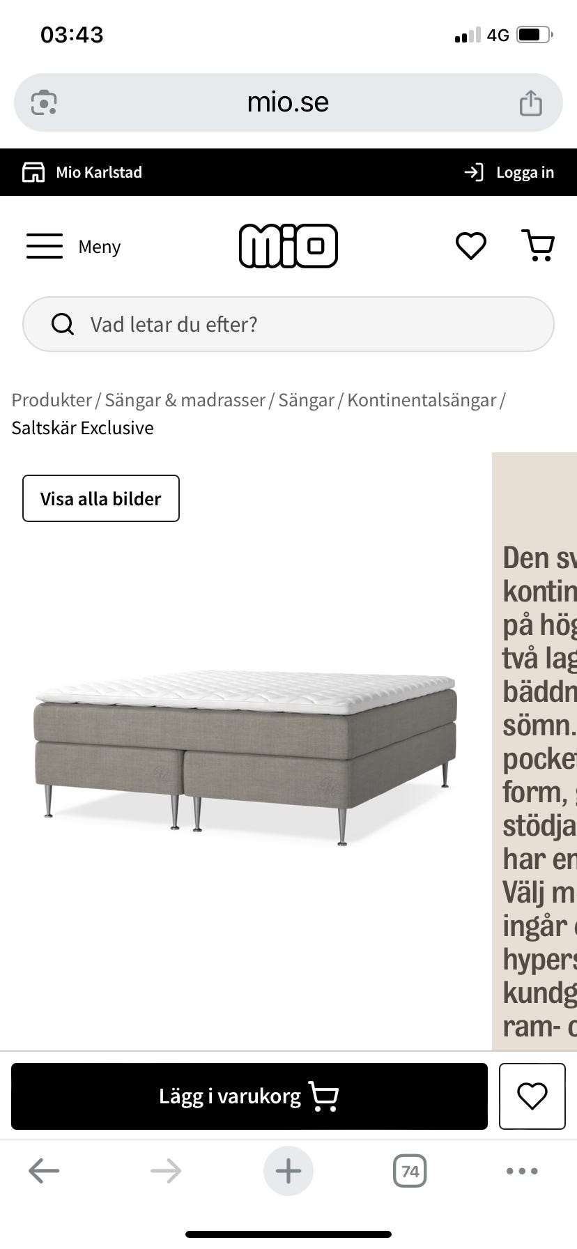 Galleribild