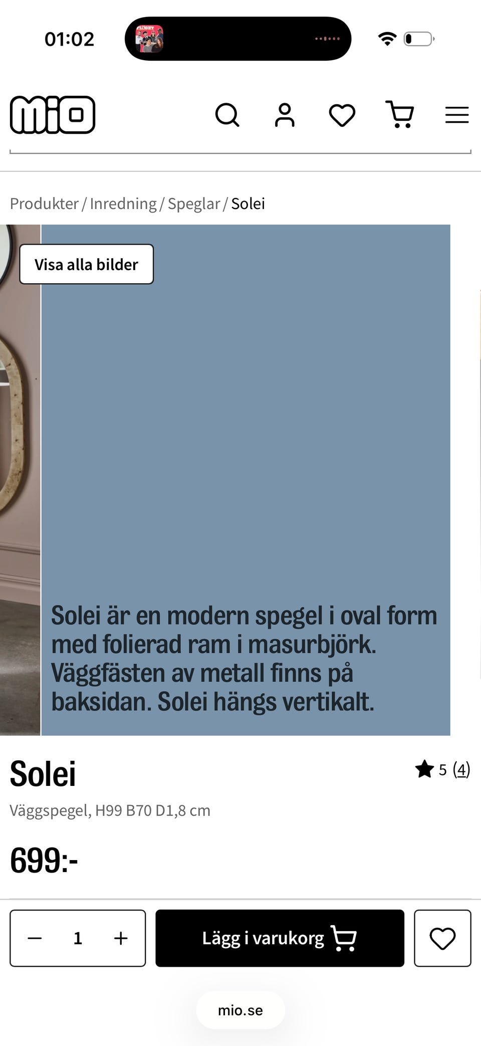 Galleribild