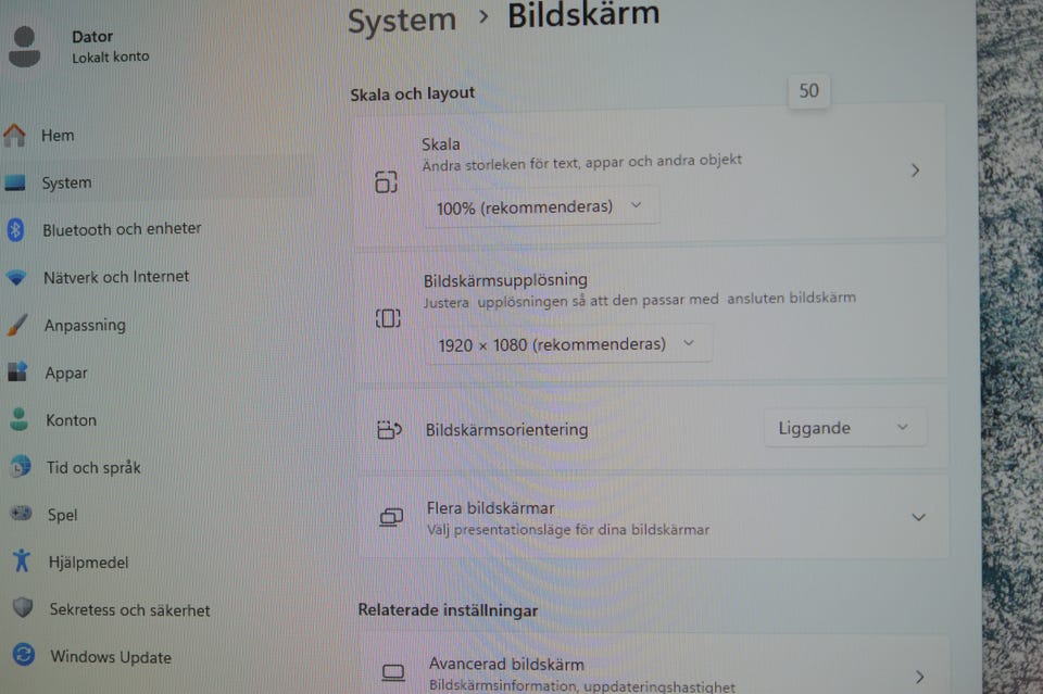 Galleribild