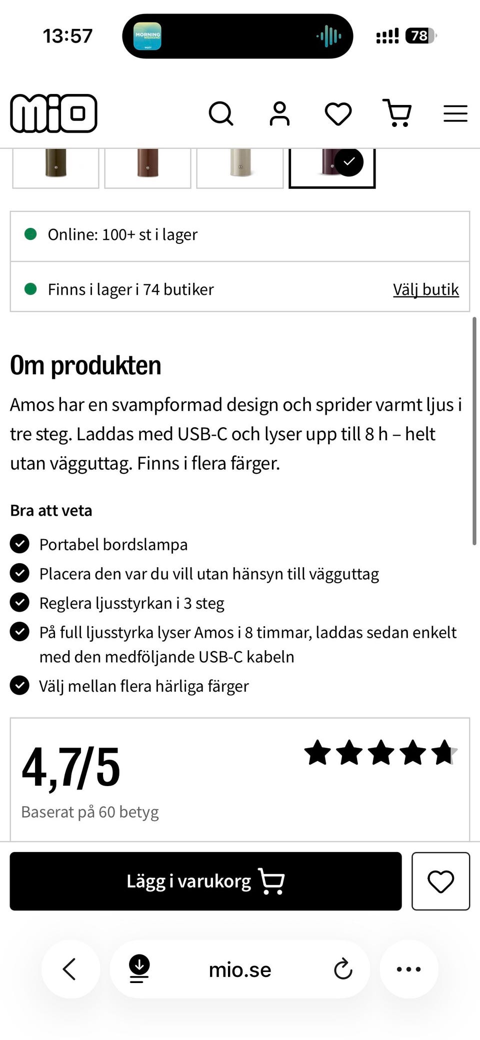 Galleribild