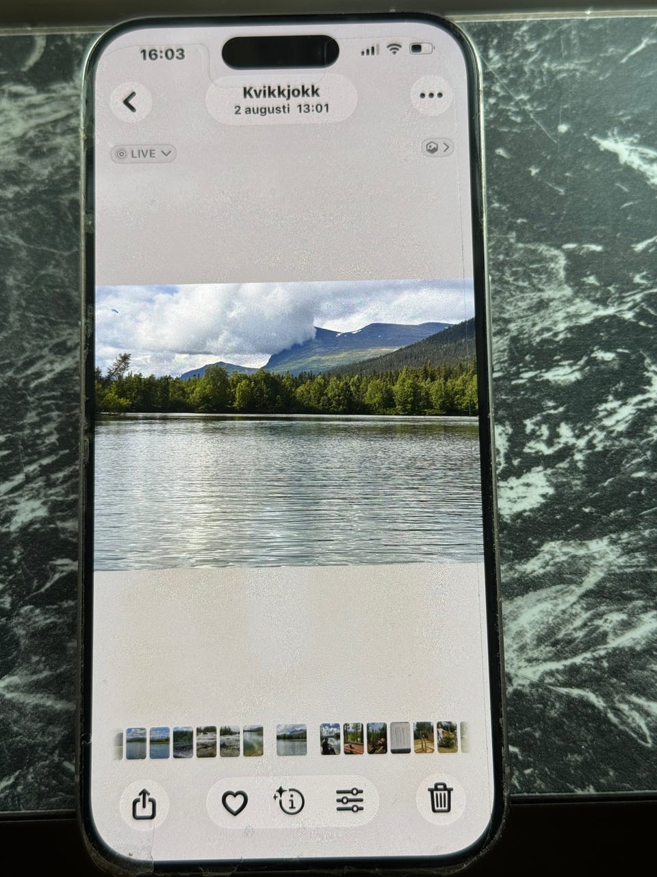 Galleribild
