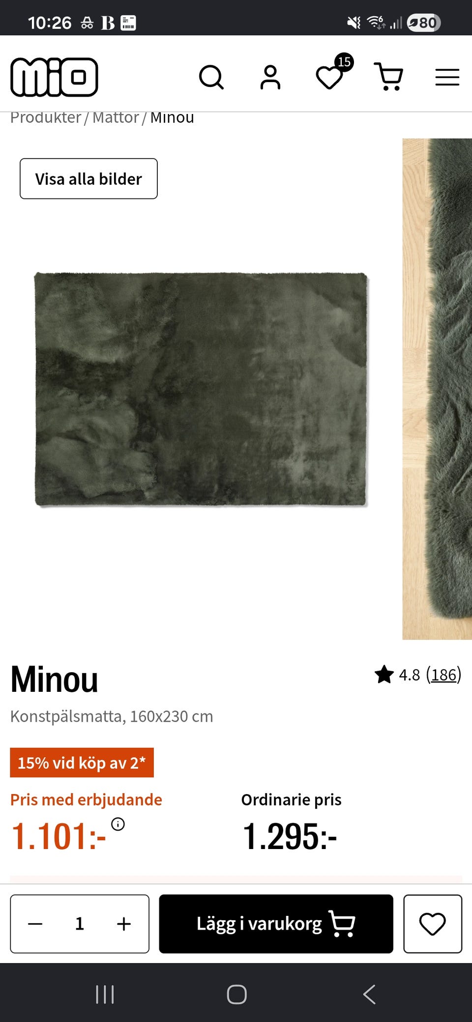 Galleribild