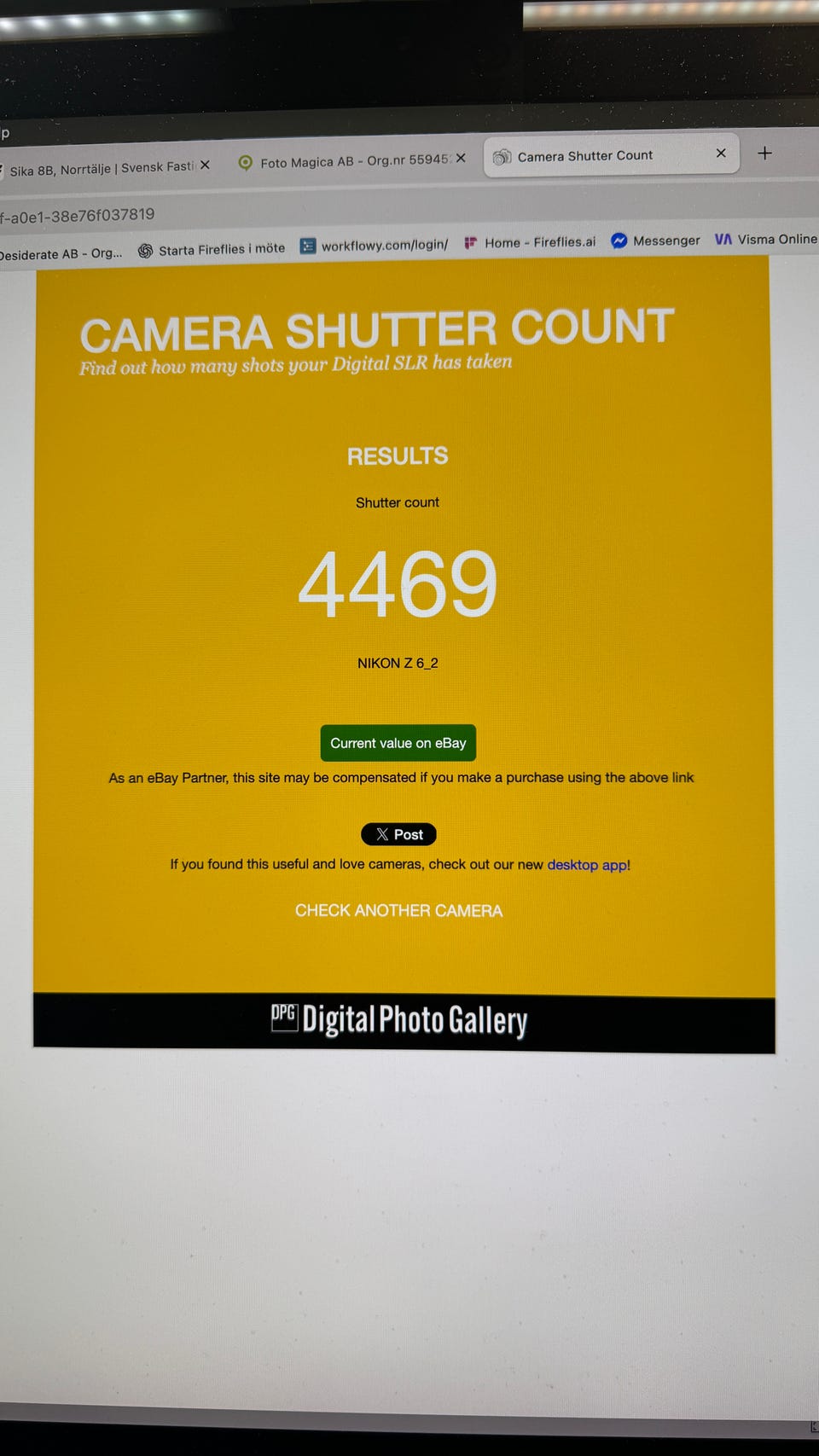 Galleribild