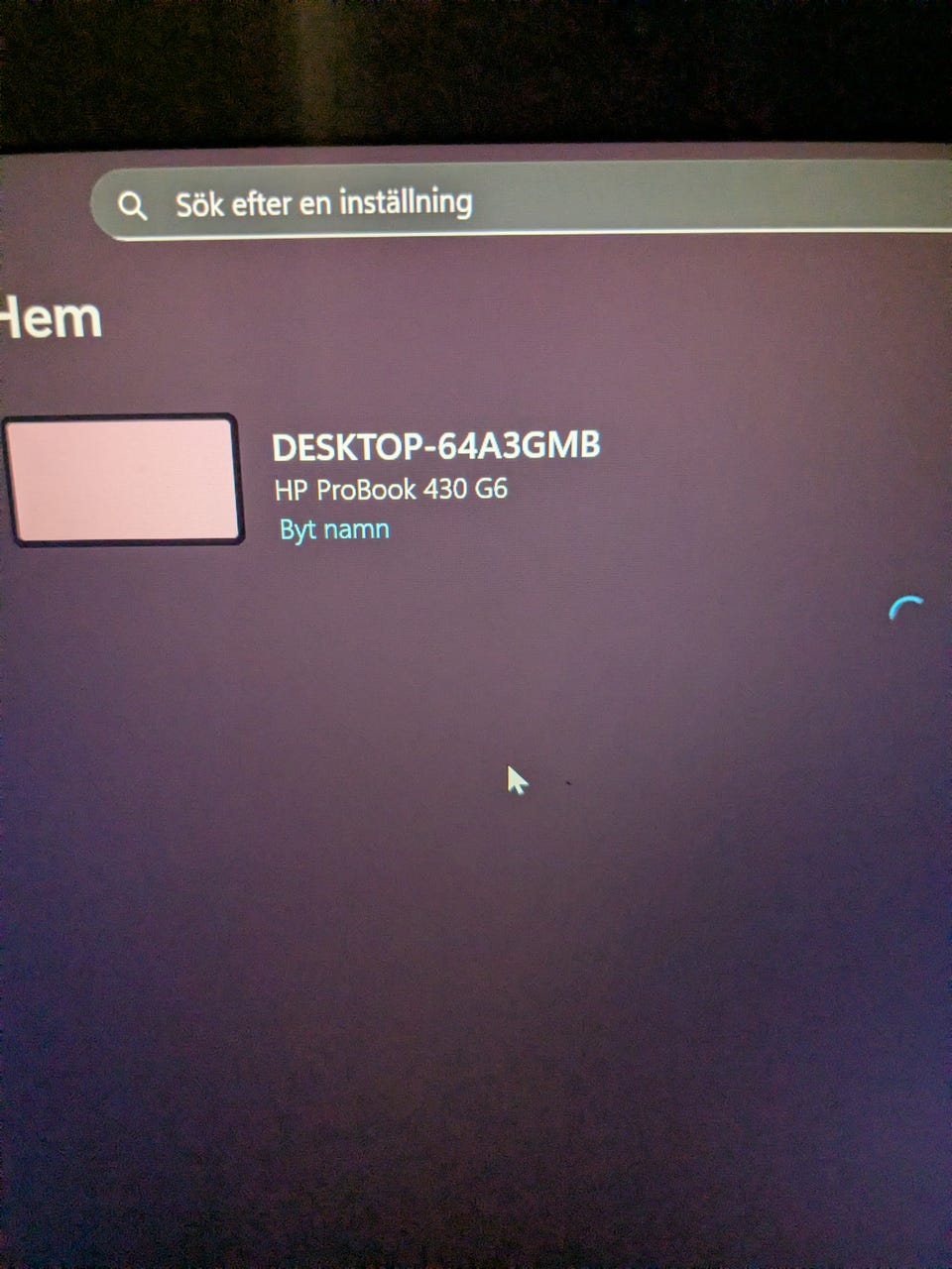 Galleribild