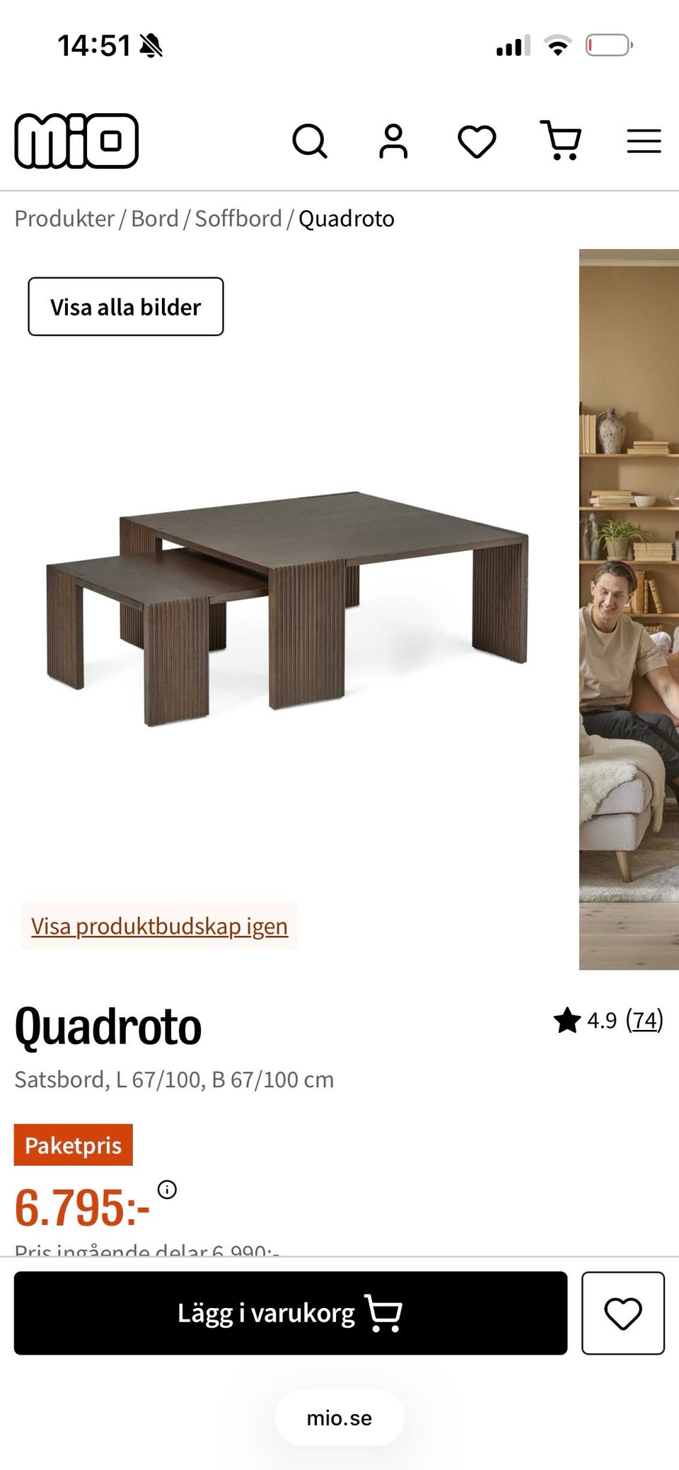 Galleribild