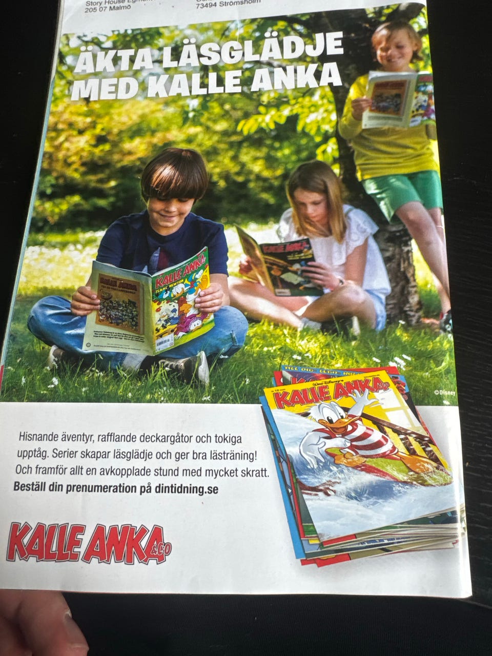 Galleribild