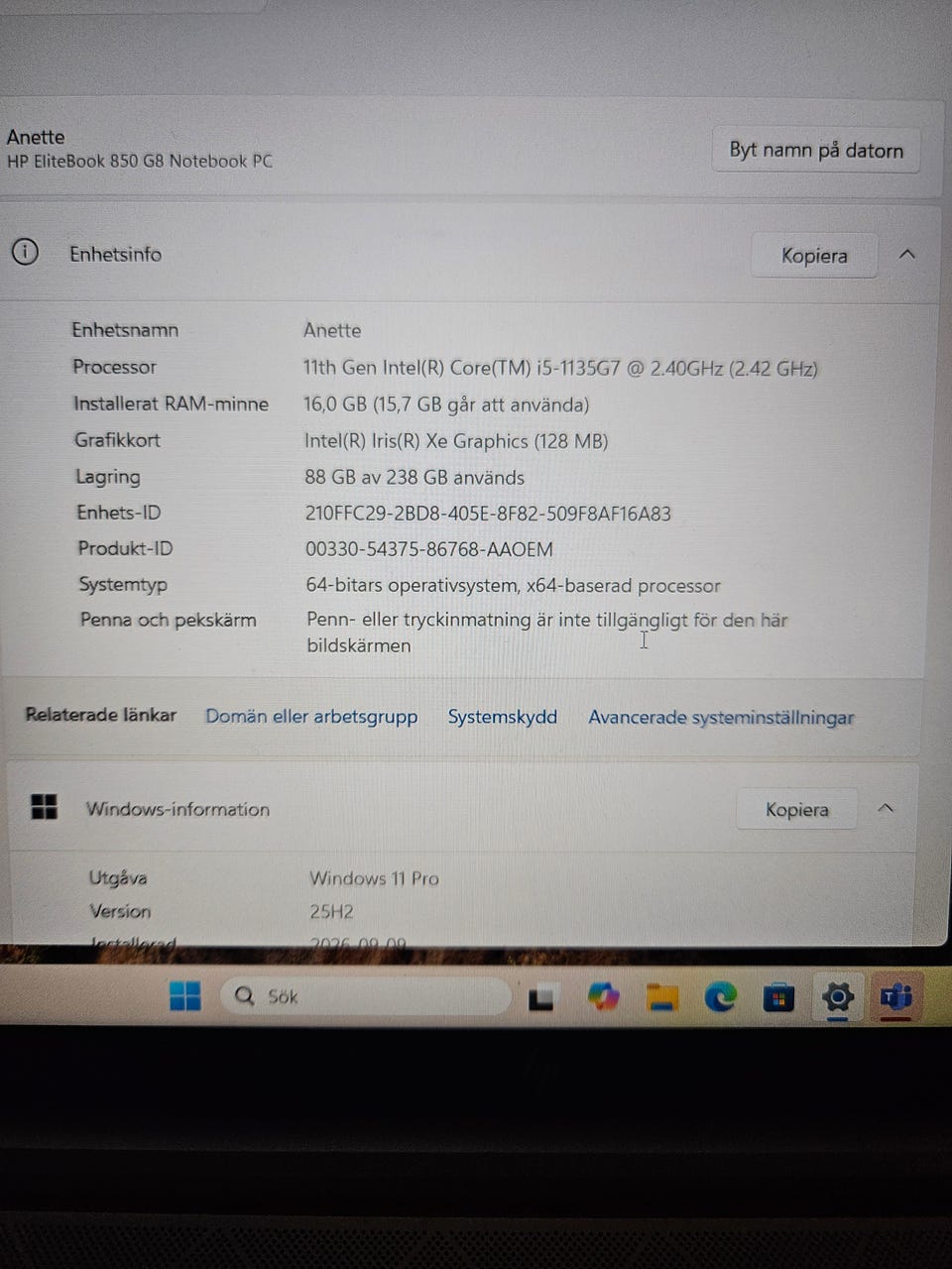 Galleribild
